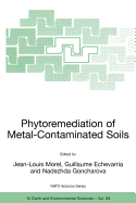 Phytoremediation of Metal-Contaminated Soils