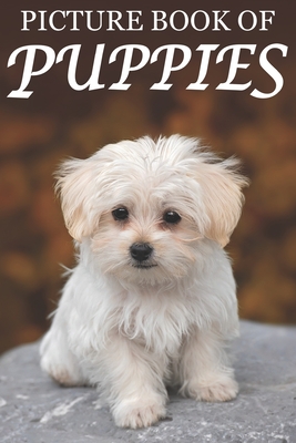 Picture Book of Puppies: Picture Book of Puppies: For Seniors with Dementia [Cute Picture Books] - Books, Mighty Oak