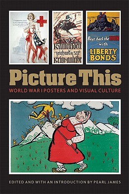 Picture This: World War I Posters and Visual Culture - James, Pearl (Editor)