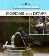 Pigeons and Doves