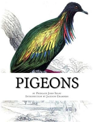 Pigeons: Pigeon Classics Book 9 - Chambers, Jackson (Introduction by), and Selby, Prideaux John