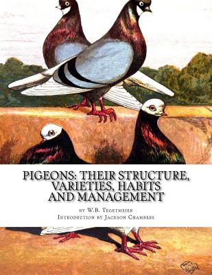 Pigeons: Their Structure, Varieties, Habits and Management: Pigeon Classics Book 12 - Chambers, Jackson (Introduction by), and Tegetmeier, W B