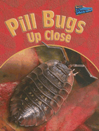 Pill Bugs Up Close