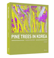 Pine Trees In Korea: Aesthetics and Symbolism