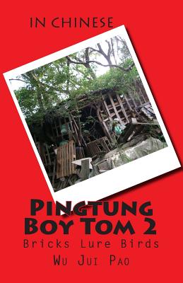 Pingtung Boy Tom 2: Bricks Lure Birds - Pao, Wu Jui