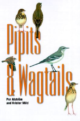 Pipits and Wagtails - Alstrm, Per, and Mild, Krister