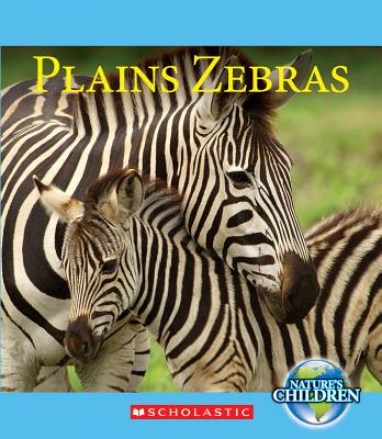 Plains Zebras - Raatma, Lucia