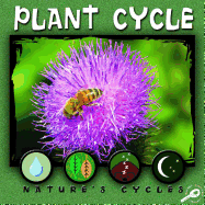 Plant Cycle