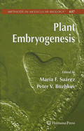 Plant Embryogenesis