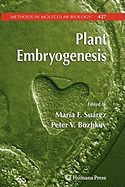 Plant Embryogenesis