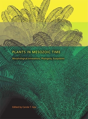 Plants in Mesozoic Time: Morphological Innovations, Phylogeny, Ecosystems - Gee, Carole T (Editor), and Archangelsky, Sergio (Contributions by), and Artabe, Anala (Contributions by)