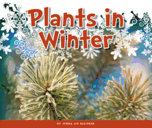 Plants in Winter