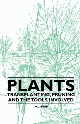 Plants - Transplanting, Pruning and the Tools Involved - Bean, W J