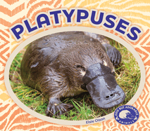 Platypuses