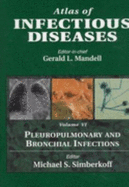 Pleuropulmonary and bronchial infections