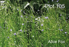 Plot 105