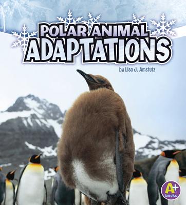 Polar Animal Adaptations - Amstutz, Lisa J