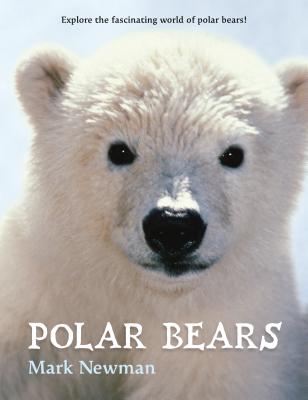 Polar Bears - 