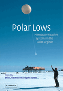 Polar Lows: Mesoscale Weather Systems in the Polar Regions