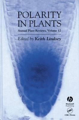 Polarity in Plants - Lindsey, Keith (Editor)