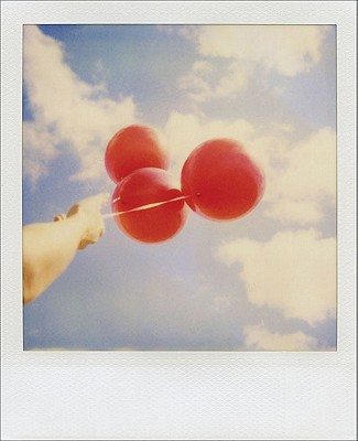 Polaroid Journal - Altman, Jenifer