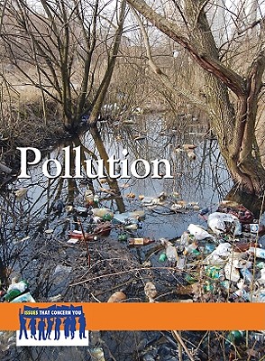 Pollution - Bily, Cynthia A (Editor)