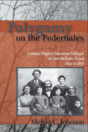Polygamy on the Pedernales: Lyman Wight's Mormon Village in Antebellum Texas