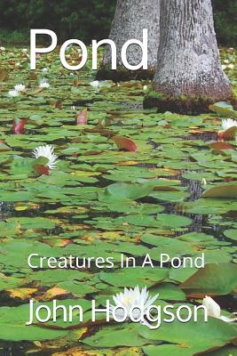 Pond: Creatures In a Pond - Hodgson, John