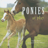 Ponies at Play - Bevan, Sophie, and Williams, Alan (Photographer)