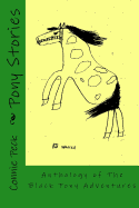 Pony Stories: Anthology of The Black Pony Adventures