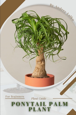 Ponytail Palm Plant: Prodigy Petal, Plant Guide - Lalko, Andrey