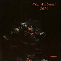 Pop Ambient 2019 - Various Artists