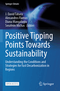 Positive Tipping Points Towards Sustainability: Understanding the Conditions and Strategies for Fast Decarbonization in Regions