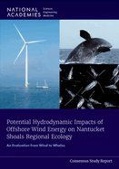 Potential Hydrodynamic Impacts of Offshore Wind Energy on Nantucket Shoals Regional Ecology: An Evaluation from Wind to Whales