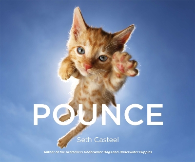 Pounce - Casteel, Seth