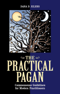 Practical Pagan: Commonsense Guidelines for Modern Practitioners