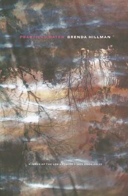 Practical Water - Hillman, Brenda