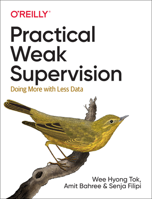 Practical Weak Supervision: Doing More with Less Data - Hyong Tok, Wee, and Bahree, Amit, and Filipi, Senja