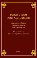 Practices to Benefit Pretas, Nagas and Spirits