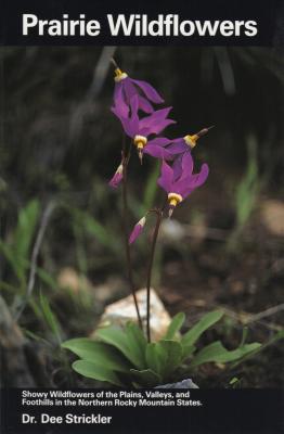 Prairie Wildflowers - Strickler, Dee