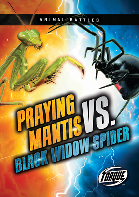 Praying Mantis vs. Black Widow Spider - Downs, Kieran