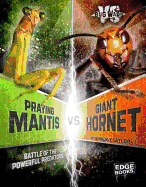 Praying Mantis vs Giant Hornet: Battle of the Powerful Predators