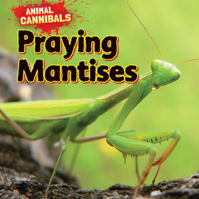 Praying Mantises - Hesper, Sam