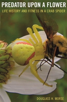 Predator Upon a Flower: Life History and Fitness in a Crab Spider - Morse, Douglass H