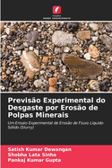 Previs?o Experimental do Desgaste por Eros?o de Polpas Minerais