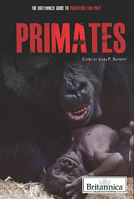 Primates - Rafferty, John P (Editor)