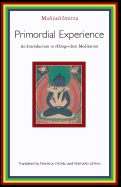 Primordial Experience: An Introduction to Dzog-Chen Meditation