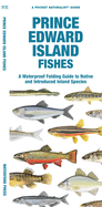 Prince Edward Island Fishes: A Folding Guide to Native and Introduced Freshwater Species