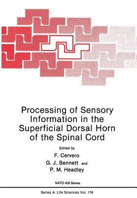 Processing of Sensory Information in the Superficial Dorsal Horn of the Spinal Cord - Cervero, F, Professor, and Bennett, G J, and Headley, P M