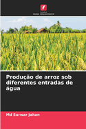 Produ??o de arroz sob diferentes entradas de gua